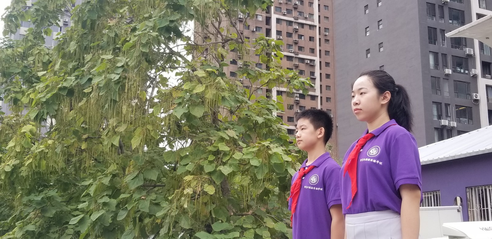 微信图片_202109081045494.jpg