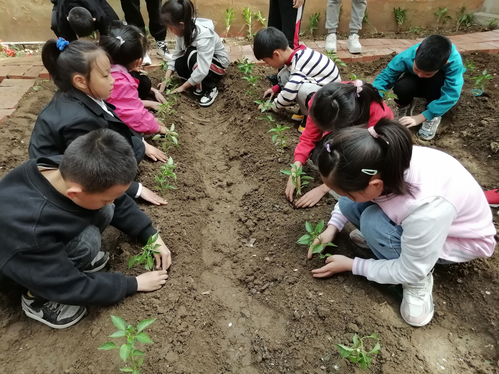 风光幸福农场种植活动.jpg 风光幸福农场种植活动.jpg