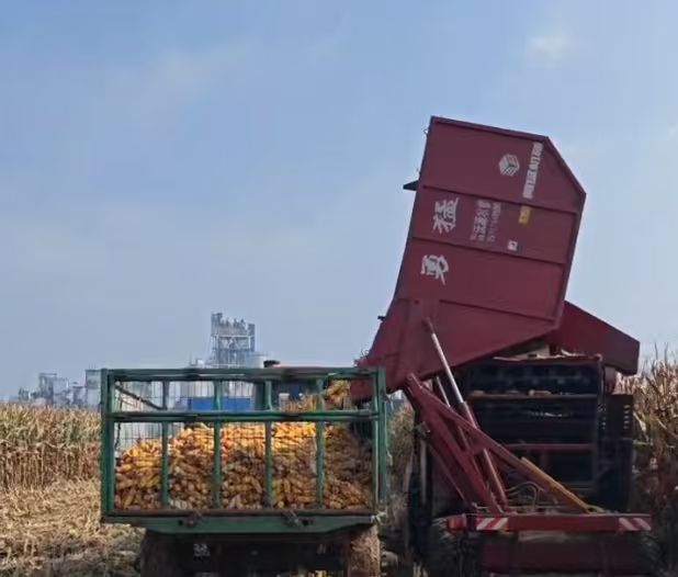 33ce19426a0c84a61e156602c1e97635.jpg 33ce19426a0c84a61e156602c1e97635.jpg