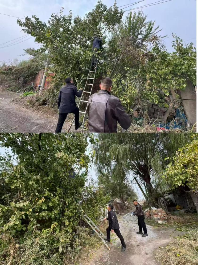 图片4.png 图片4.png