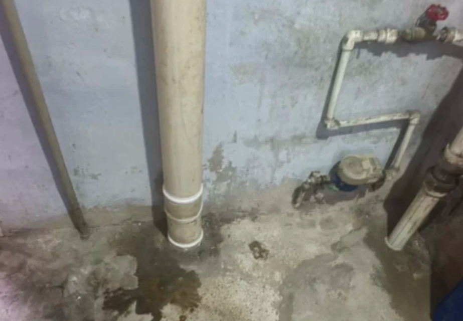 1c1b8f961107f136e85d1d1a09f9ccc5.png 1c1b8f961107f136e85d1d1a09f9ccc5.png