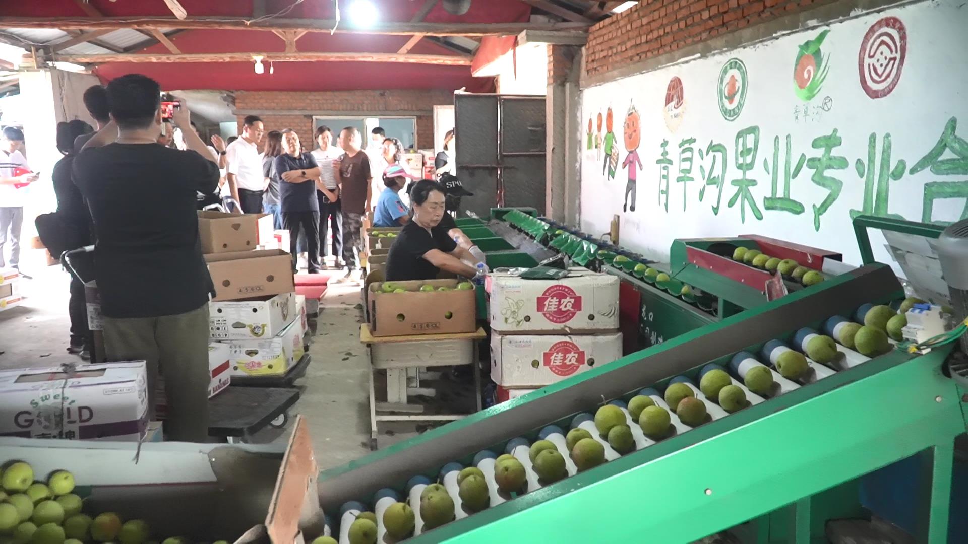 图片3.jpg 图片3.jpg