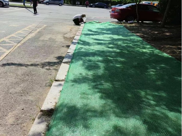 新兴街道 全力以赴助力城市环境面貌再上新台阶2.jpg