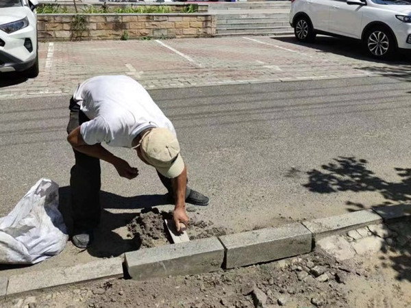 新兴街道 全力以赴助力城市环境面貌再上新台阶3.jpg