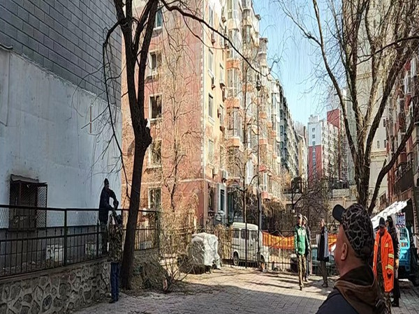 新兴街道  树木掉枯枝存在安全隐患   社区迅速清理守护居民“头顶安全”1.jpg