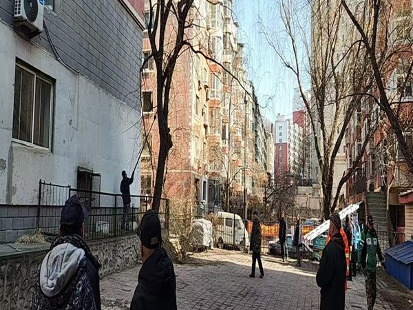 新兴街道 树木掉枯枝存在安全隐患 社区迅速清理守护居民“头顶安全”2.jpg