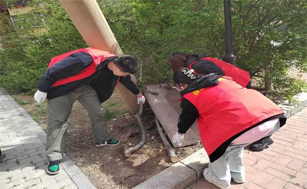 秋日聚力齐攻坚 街区旧貌换新颜2.jpg 秋日聚力齐攻坚 街区旧貌换新颜2.jpg