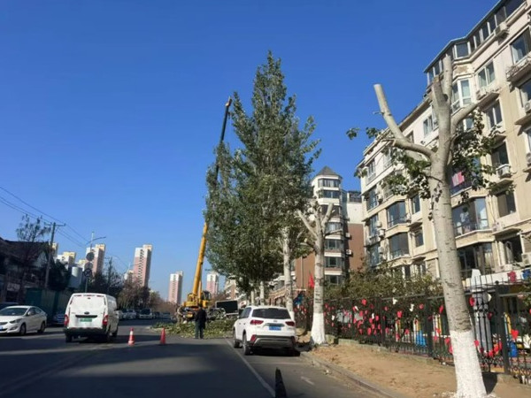 新兴街道 “剪”除隐患 筑牢校园周边“安全网”2.jpg 新兴街道 “剪”除隐患 筑牢校园周边“安全网”2.jpg
