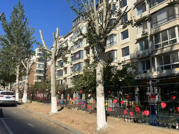 新兴街道 “剪”除隐患 筑牢校园周边“安全网”3.jpg 新兴街道 “剪”除隐患 筑牢校园周边“安全网”3.jpg