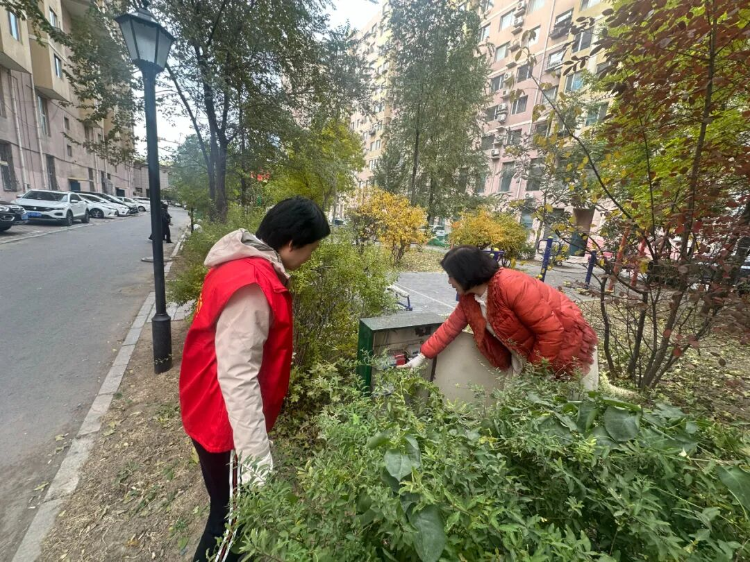 图片2.png 图片2.png