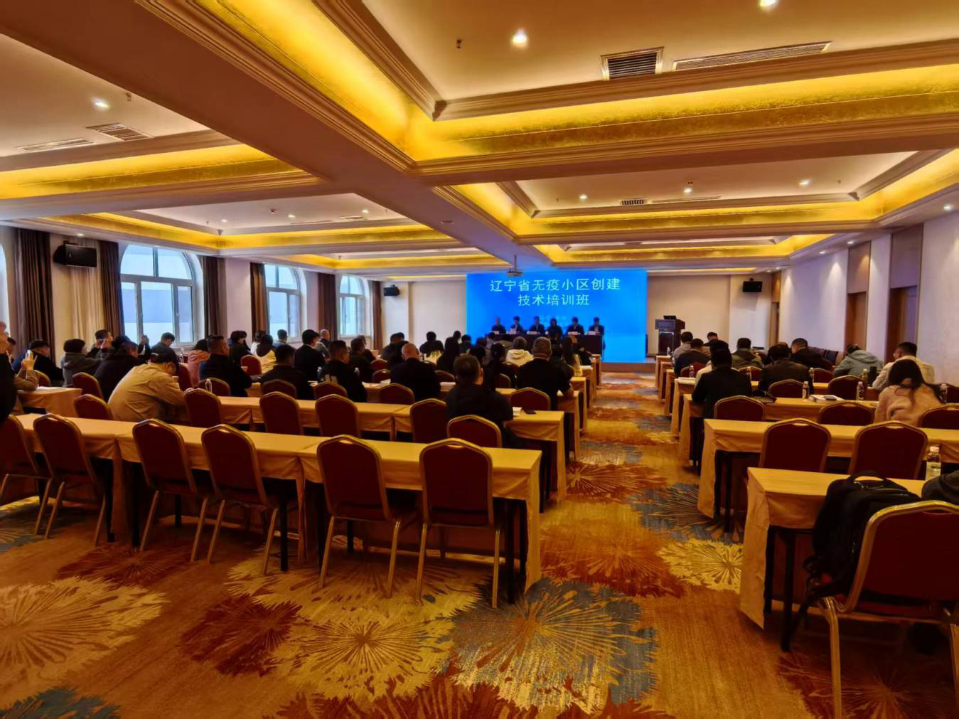 兽医.png 兽医.png