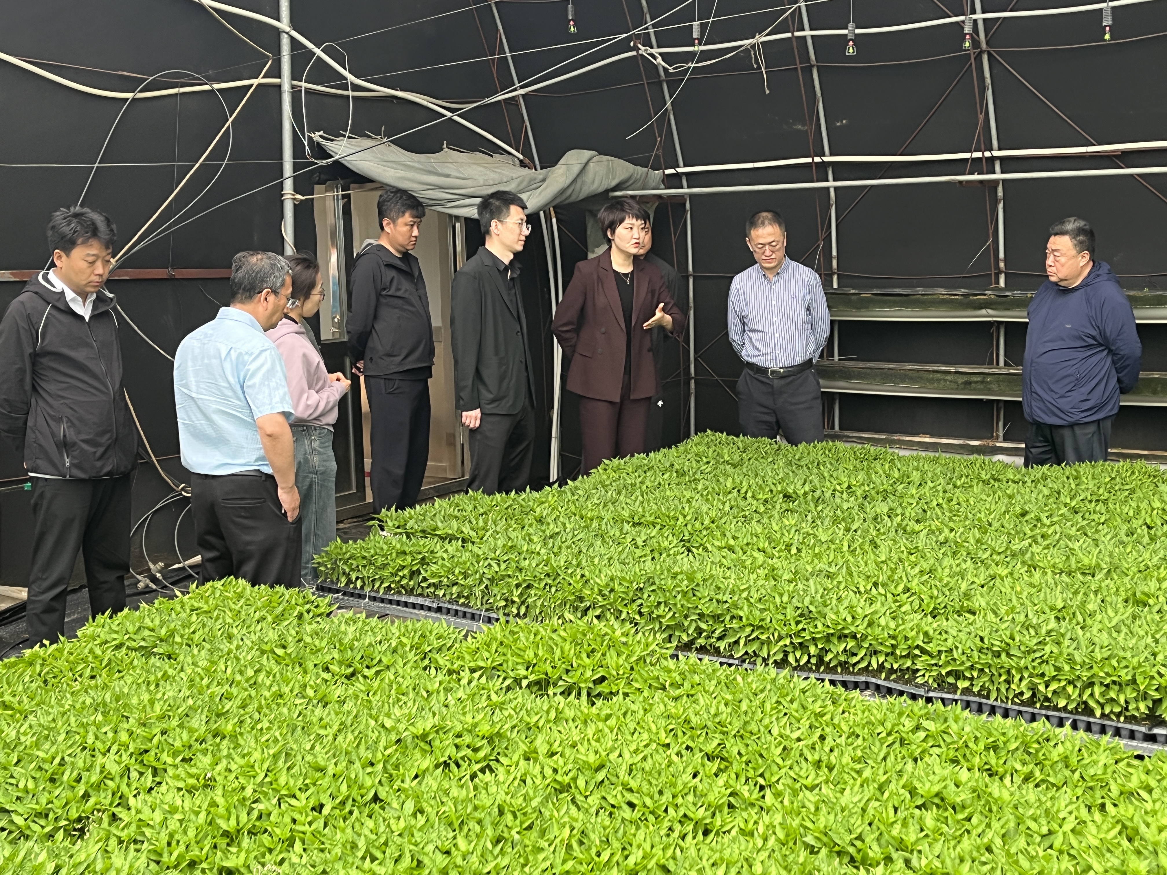 破解难题.jpg 破解难题.jpg