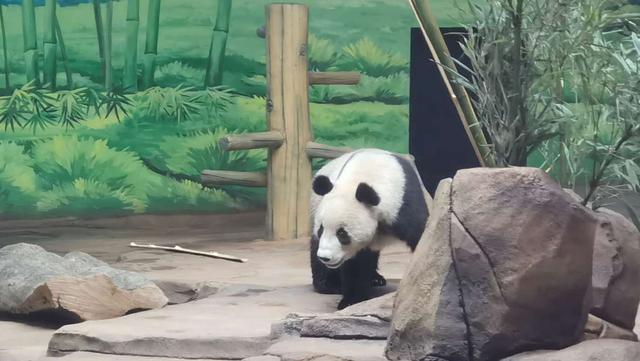 各类动物陆续入园 二一九动物园30日开门迎客