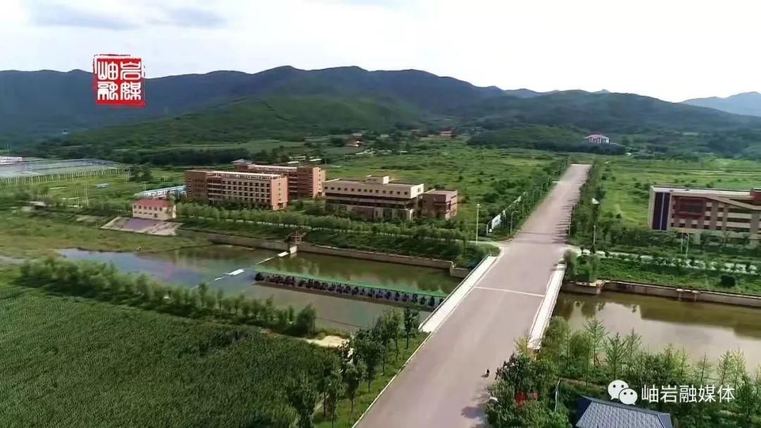 116.jpg