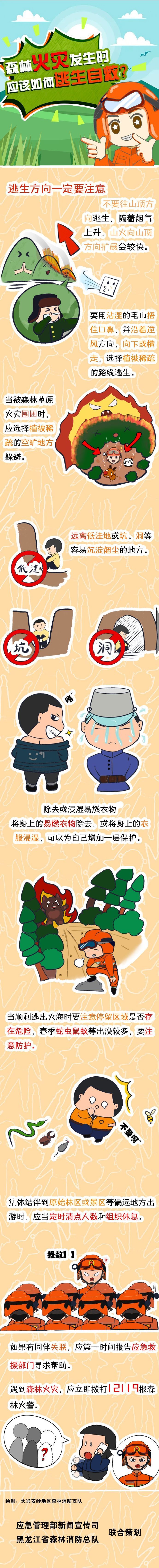 森林火灾发生时，应该如何自救.jpg