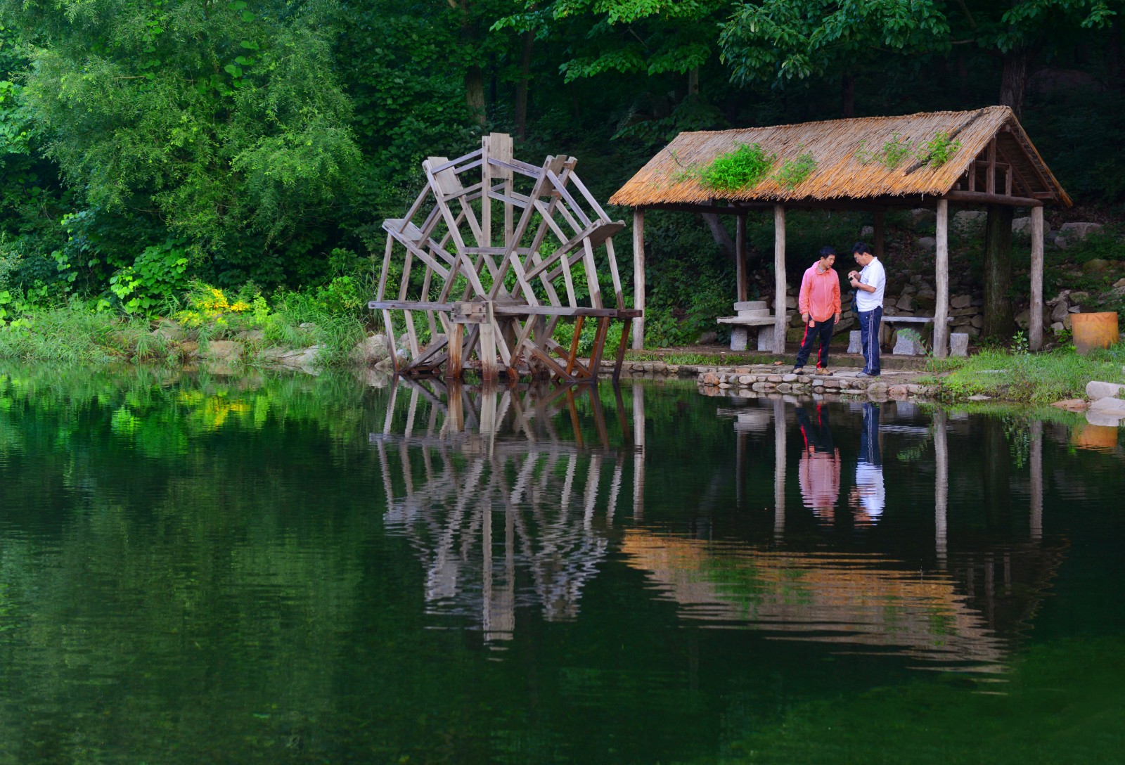 DSC_0509.jpg