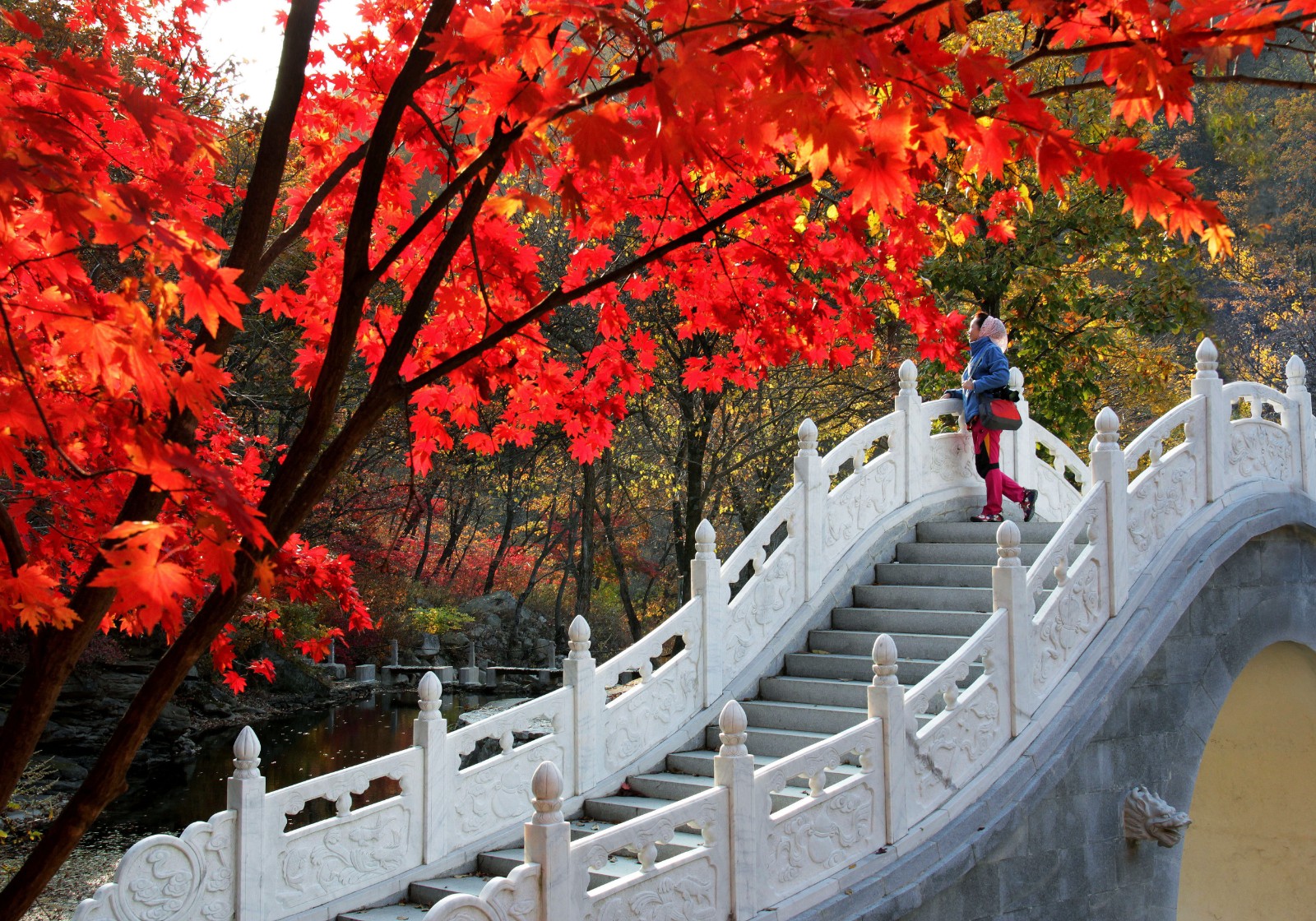 龙湾秋色（3）.jpg