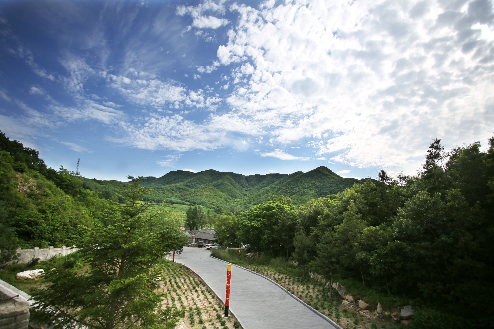 Y41A9519.jpg