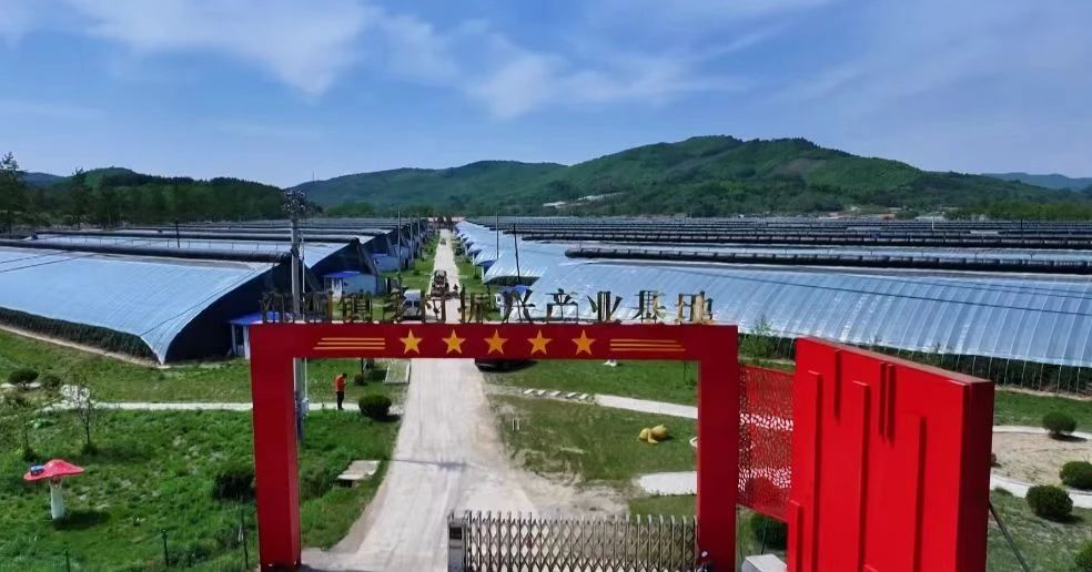 微信图片_20250519091942.jpg